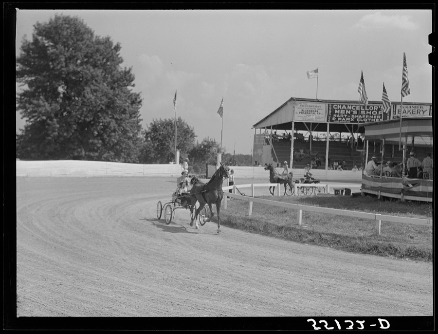 Sulky of harness races. Horse show, Shelby County fair, Shelbyville, Kentucky