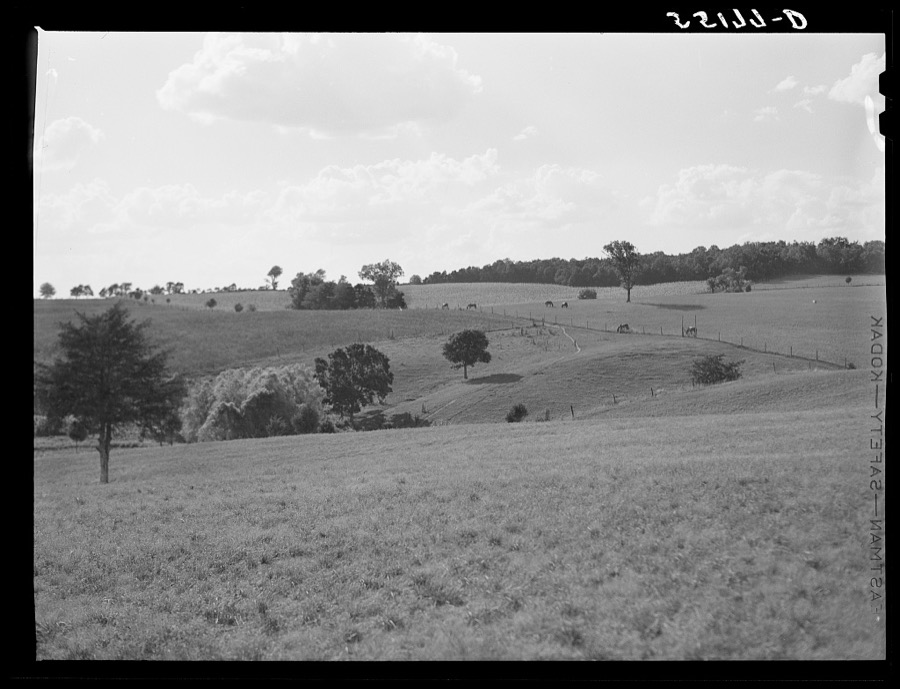Farm scene. Oldham County, Kentucky