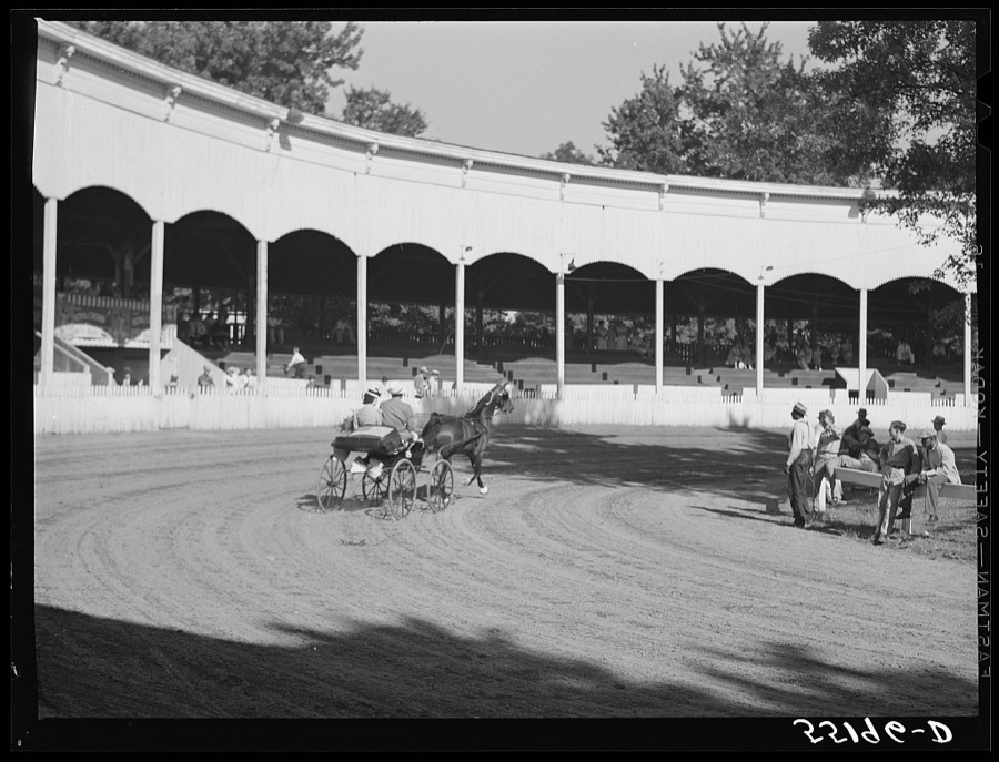 Sulky or harness races. Horse show, Shelby County fair, Shelbyville, Kentucky
