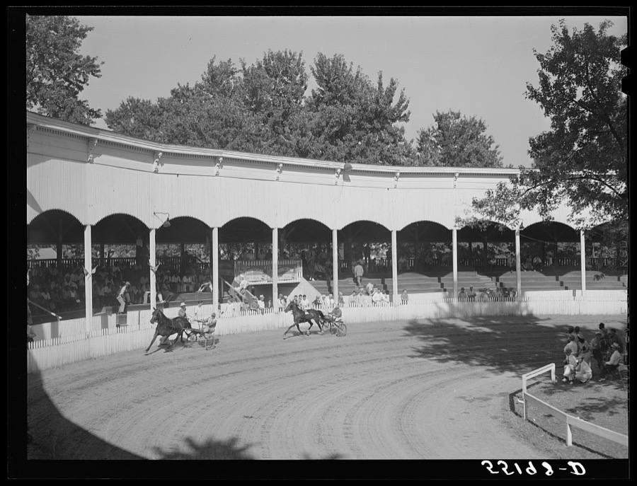 Sulky or harness races. Horse show, Shelby County fair, Shelbyville, Kentucky