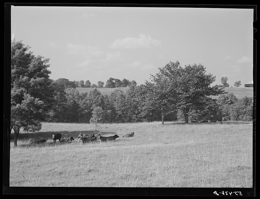 [Untitled