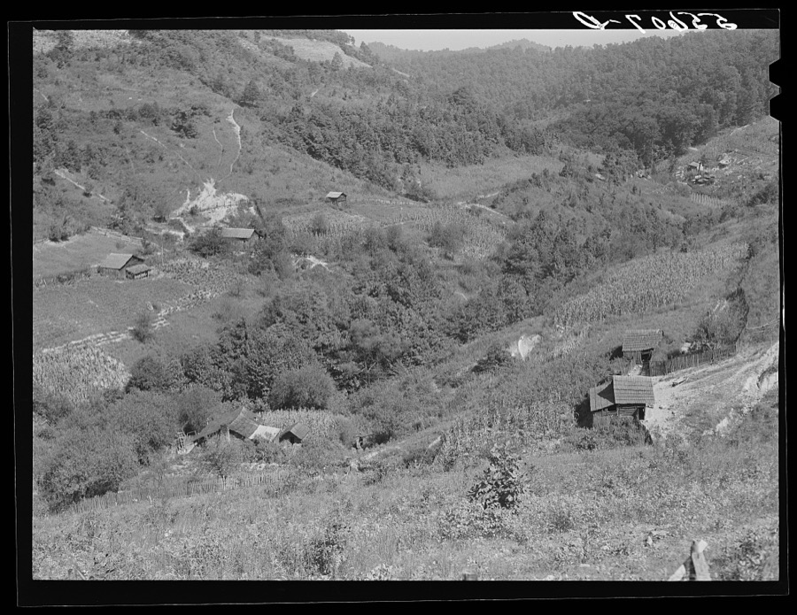 General landscape near Hyden, Kentucky, showing mountain cabins, sheds and cornfields