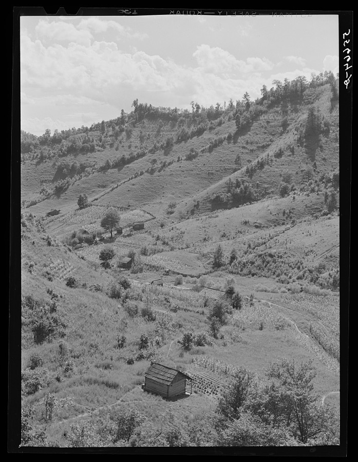 Homes with gardens, patches of tobacco and corn in mountain section near Hyden, Kentucky