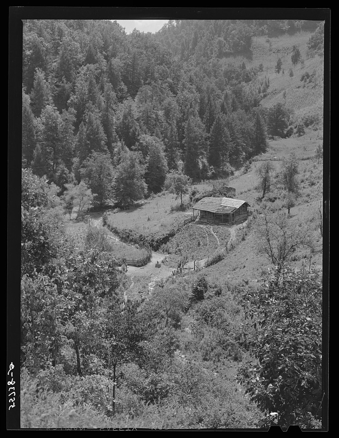 Homes with gardens, patches of tobacco and corn in mountain section near Hyden, Kentucky