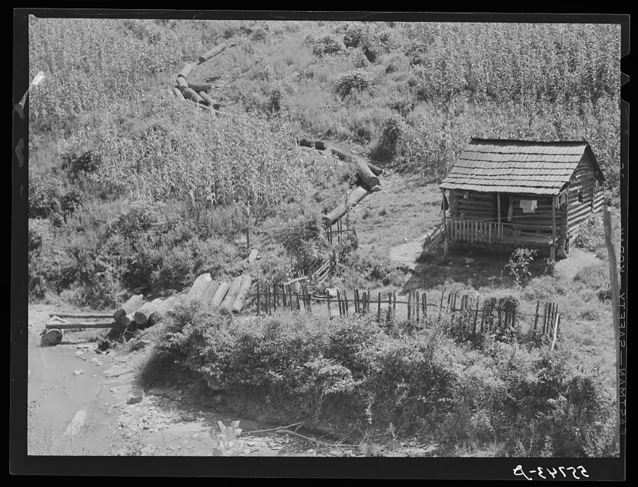 Logging is one of the few sources of income to mountaineers. This cabin with the cornfield above it is near Hyden, Kentucky
