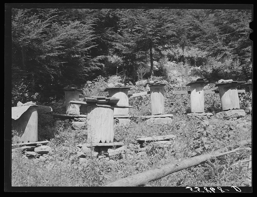 Beehives made of hollowed-out logs at farm on Stinking Creek on Pine Mountain, Kentucky