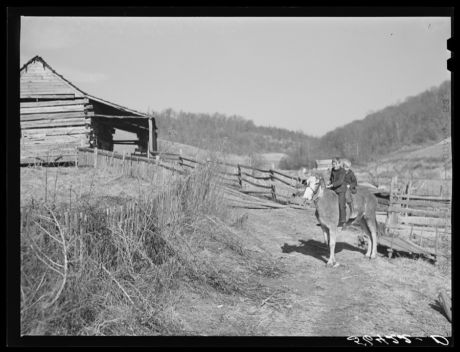 Two of Dutton ("Dut") Calleb's children watering the mule. Southern Appalachian Project near Barbourville, Knox County, Kentucky