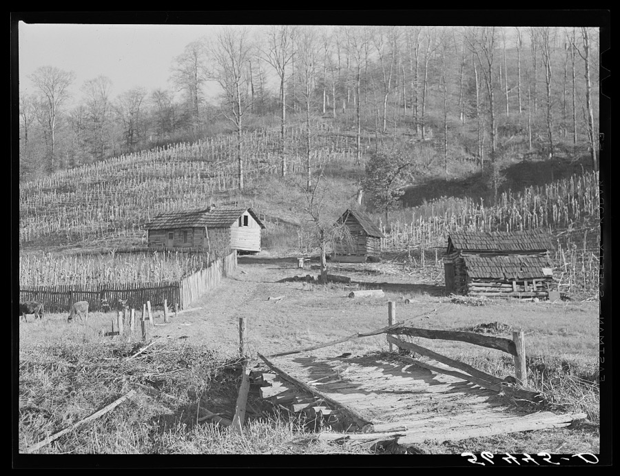 Josh Calahan's old home and barns with corn field on the hillside. Southern Appalachian Project near Barbourville, Knox County, Kentucky