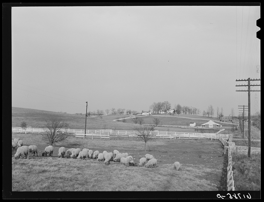 Kentucky Bluegrass county. Fayette County