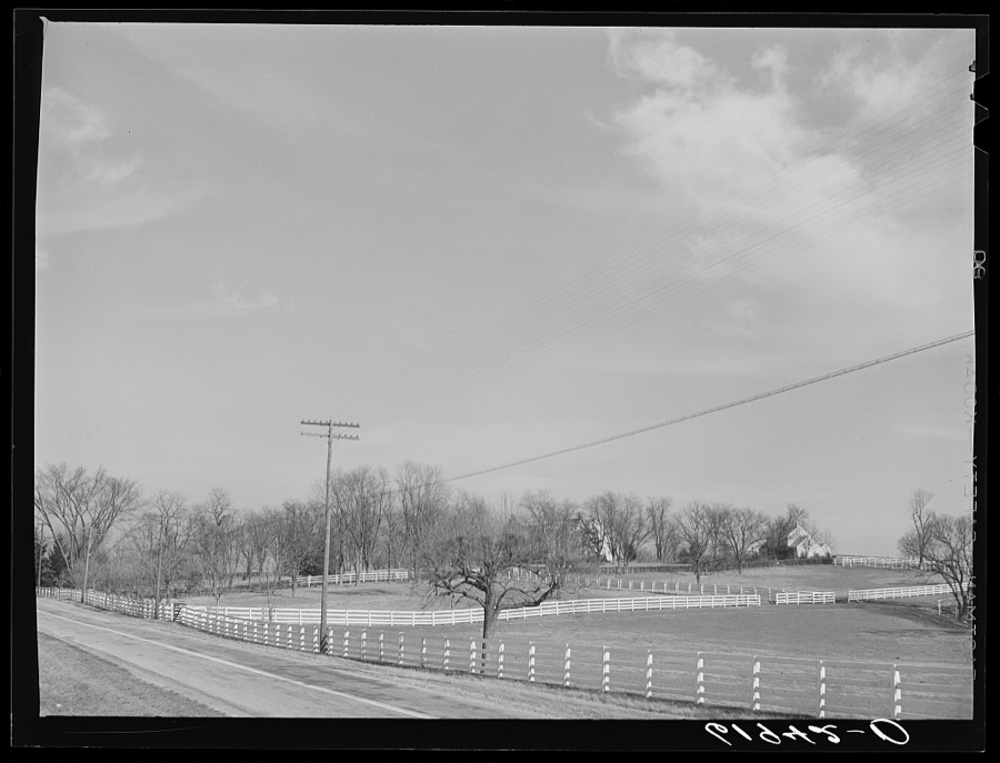 Horse farm in Bluegrass country. Fayette County, Kentucky