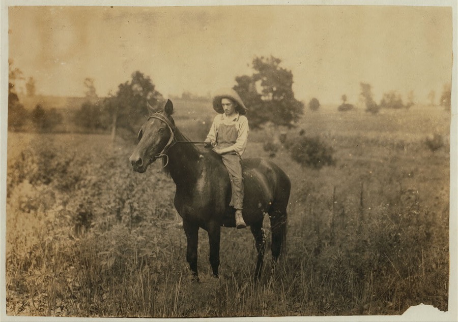 Bush driving horse home. See labels 4389-4393.  Location: Clark Co.--Winchester, Kentucky