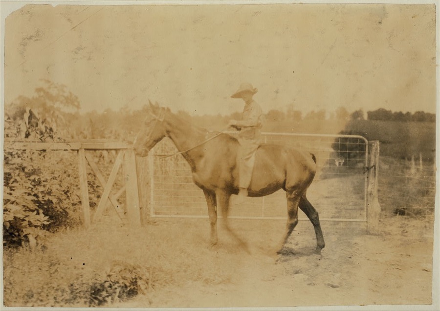 John Aldridge, 14 years old. Father, Hense Aldridge, R. Route 1, Winchester. Driving horse home. Works on tobacco. Expects to start school in "couple of weeks." It is now several weeks after school opened. Division 2, Clark Co., Ky.  Location: Clark Co.--Winchester, Kentucky