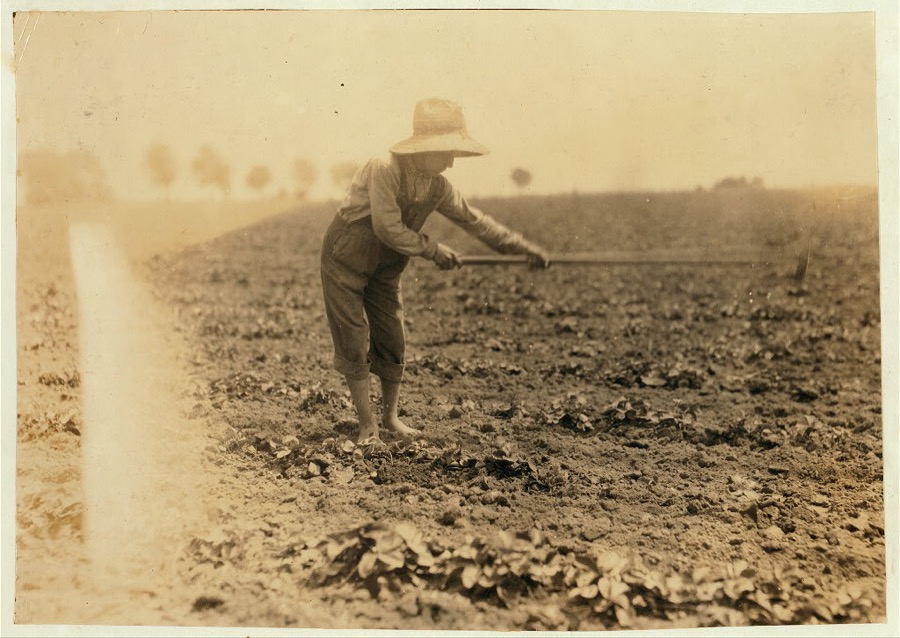 Conrad Elrod, R 3, hoeing strawberries.  Location: Warren County--Plano, Kentucky