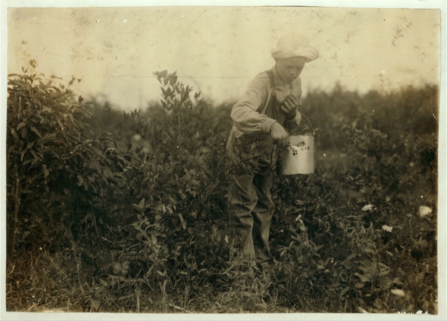 Homer Hunt, 11-year old berry picker. Says he has been out of school half the time for some weeks picking, and has made $10. Gets 10 cents a gallon. They are wild blackberries. The teacher of his school, Maretburg School, says there are many absent from time to time for berries, corn, etc. Location: Rockcastle County--Maretburg, Kentucky