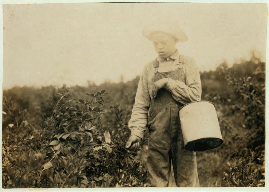 Homer Hunt, 11-year old berry picker. Says he has been out of school half the time for some weeks picking, and has made $10. Gets 10 cents a gallon. They are wild blackberries. The teacher of his school, Maretburg School, says there are many absent from time to time for berries, corn, etc. Location: Rockcastle County--Maretburg, Kentucky