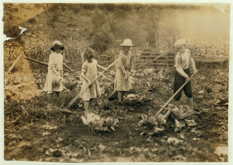 Children hoeing on farm near Mt. Vernon, Ky. Go to Mt. Vernon Graded School. Mamie, 7 years, Grace, 9 years, Marguerite, 12 years and Everett 14 years. Father, Alfred Bryant, Mt. Vernon P.O. owns 35 acres. Location: Rockcastle County--Mt. Vernon [vicinity], Kentucky