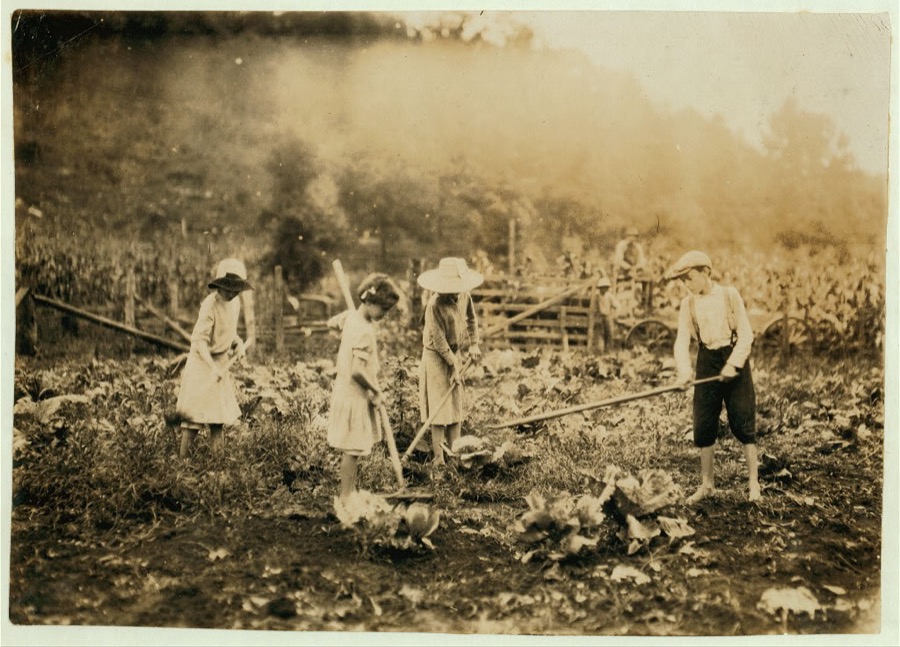 Children hoeing on farm near Mt. Vernon, Ky. Go to Mt. Vernon Graded School. Mamie, 7 years, Grace, 9 years, Marguerite, 12 years and Everett, 14 years. Father, Alfred Bryant, Mt. Vernon P.O. owns 35 acres. Location: Rockcastle County--Mt. Vernon [vicinity], Kentucky