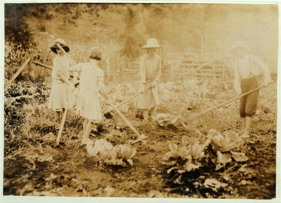 Children hoeing on farm near Mt. Vernon, Ky. Go to Mt. Vernon Graded School. Mamie, 7 years, Grace, 9 years, Marguerite, 12 years and Everett 14 years. Father, Alfred Bryant, Mt. Vernon P.O. owns 35 acres. Location: Rockcastle County--Mt. Vernon [vicinity], Kentucky