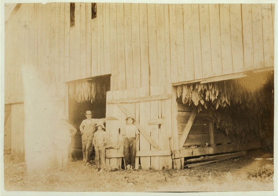Barn of Daniel Barrett and group shown in photos 4464-5-6. Location: Henderson County--Spottsville, Kentucky