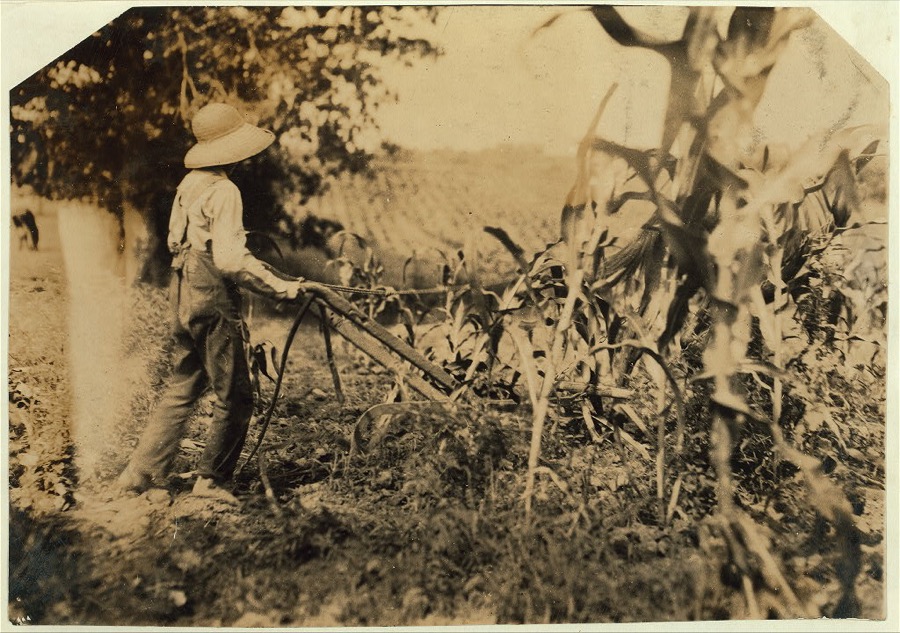 Hugh Oliphant, 12 years old driving a "double-shovel."  Location: Warren County--Bowling Green, Kentucky