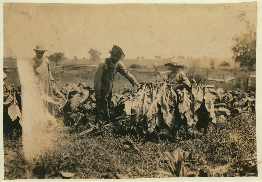 Jo Oliphant, R.D. 3, Bowling Green, holding stick for tobacco cutters on father's farm. "I go to school some and am out some." Plano School. Location: Warren County--Bowling Green, Kentucky