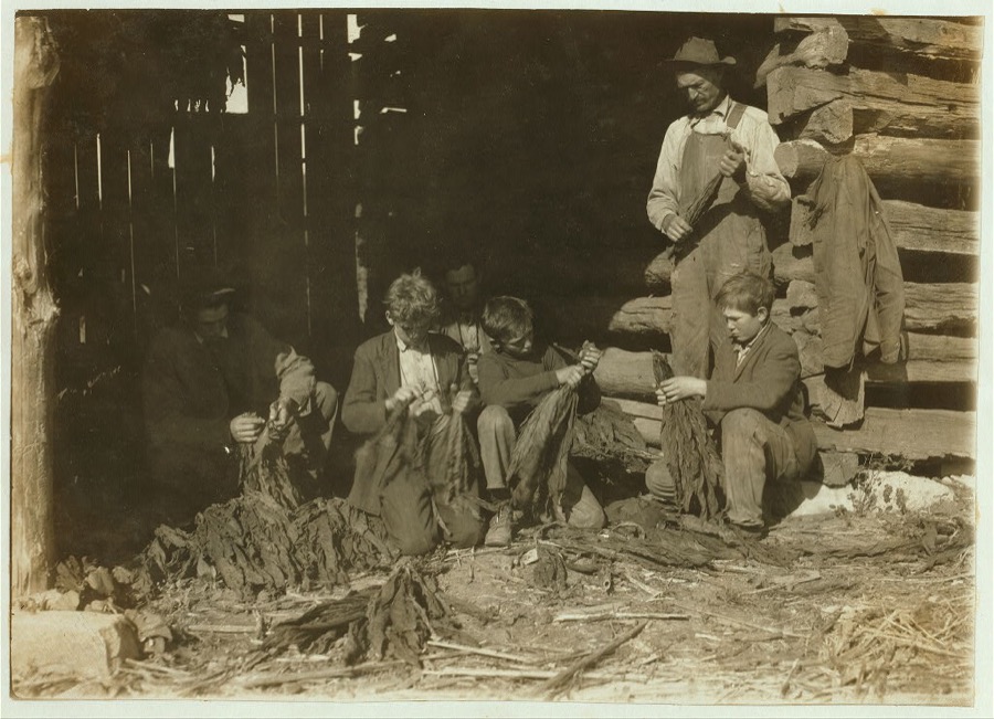 Family of J.H. Burch, Route 1, Rockfield, Ky. Boys 12, 14 and 17 (stripping tobacco) working during school hours. Have been out a good deal. Go to Quarry School (6-12). Two families represented in photo. See special card and Kentucky report.  Location: Warren County--Rockfield, Kentucky