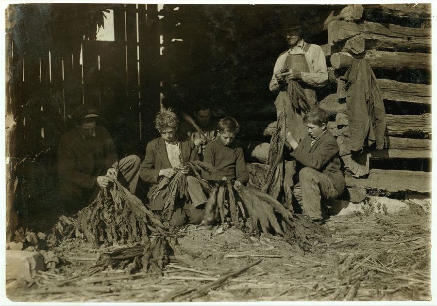 [Family of J.H. Burch, Route 1, Rockfield, Ky. Boys 12, 14 and 17 (stripping tobacco) working during school hours. Have been out a good deal. Go to Quarry School (6-12). Two families represented in photo. See special card and Kentucky report.  Location: [Warren County--Rockfield, Kentucky