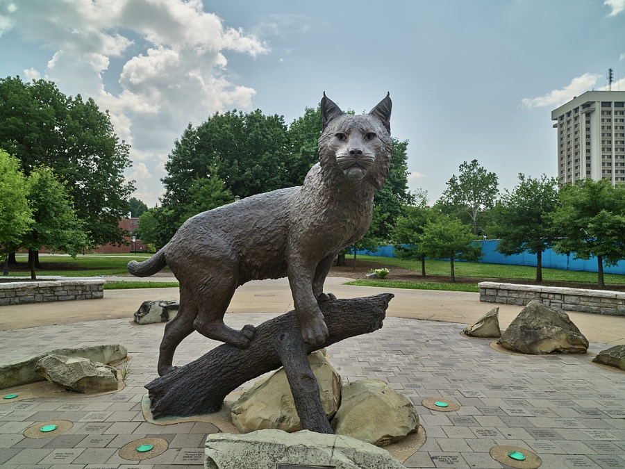 Wildcat sculpture on the campus of the University of Kentucky in Lexington