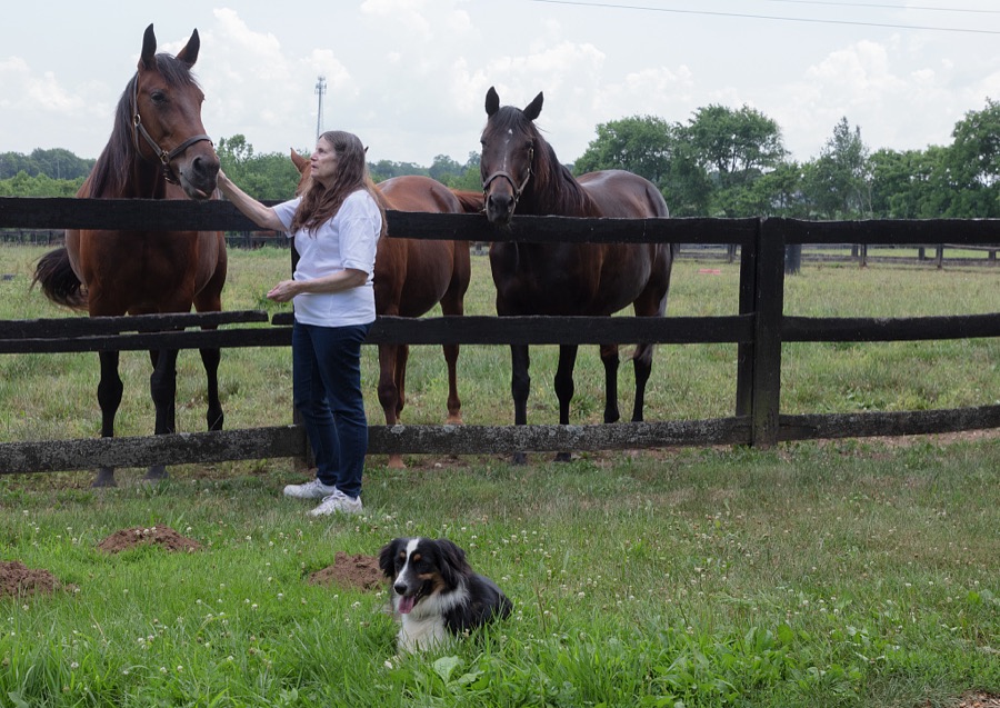 Owner Fredericka Van Lennep Caldwell nuzzles a mare at Cane Run Farm, a breeding farm for Standardbred horses near Georgetown, Kentucky, while her Australian shepherd, Scout, takes a break