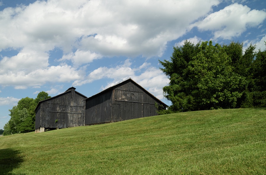 Two classic, side-by-side black Kentucky tobacco barns near the town of Union