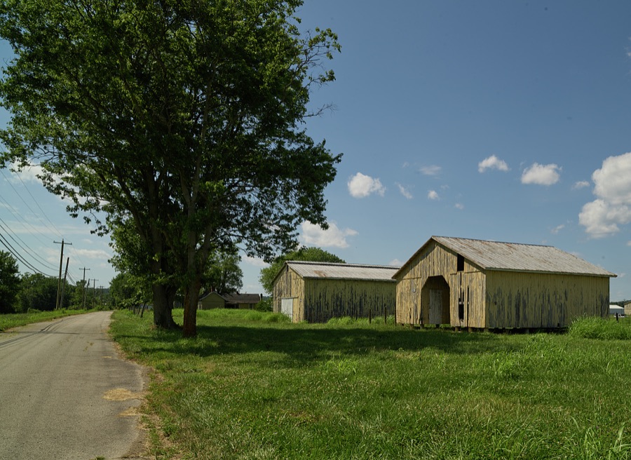 Abandoned tobacco barns on the outskirts of Carrollton, Kentucky, once the second (some say third) leading grower and broker of burleigh tobacco in the world in the early to mid-1900s