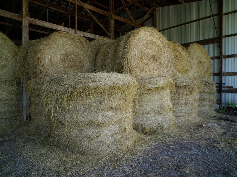 Hay rolls in a shed on the outskirts of Carrollton, Kentucky