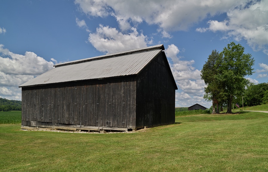 Two quintessential Kentucky black tobacco barns (one in the distance) in Boone County, along the Ohio River