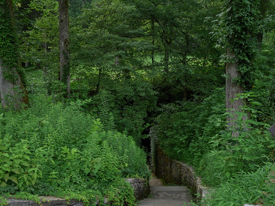 Stairway through the woods at the Lincoln Birthplace site in Hodgenville, Kentucky