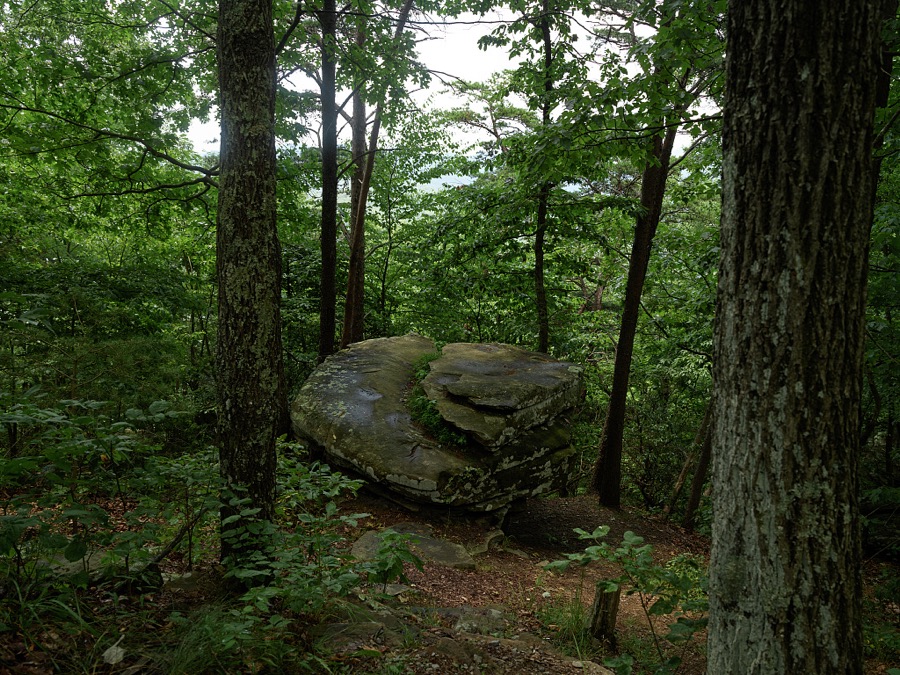 Dense woods near "The Pinnacle," an observation post high above the Cumberland River at Cumberland Gap National Historical Park in the Kentucky highlands, near Middlesboro, along the Tennessee border