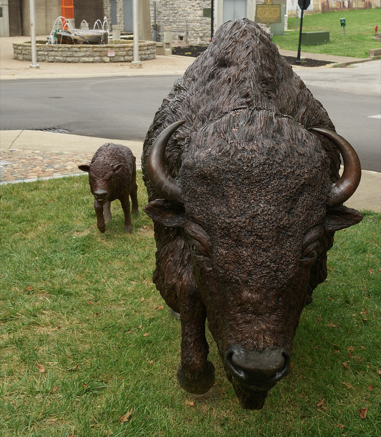 Sam McKinney's 2018 sculptures of a buffalo and her calf in Maysville, Kentucky's, Limestone Park