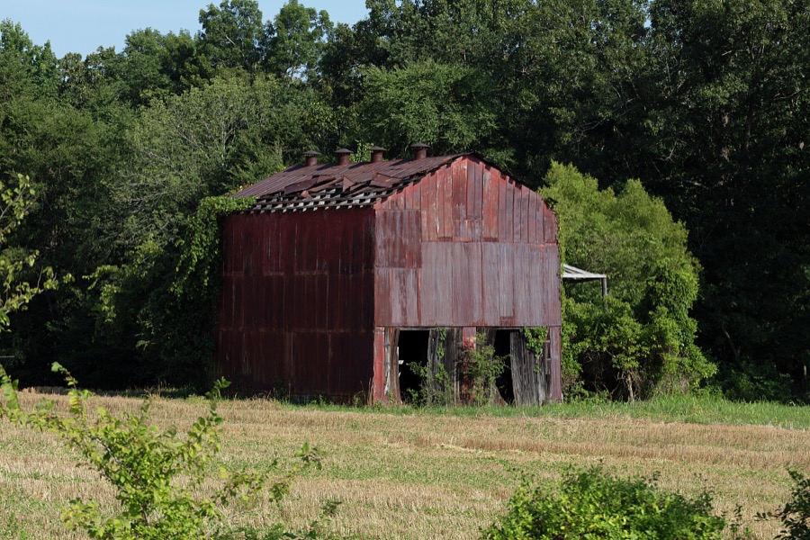 A barn that has seen better days, near Golden Pond, Kentucky, across the Lake Barkley Bridge from the Land Between the Lakes, a bucolic National Recreation Area on narrow ridge between Barkley Lake and Kentucky Lake that both straddle the state line with Tennessee