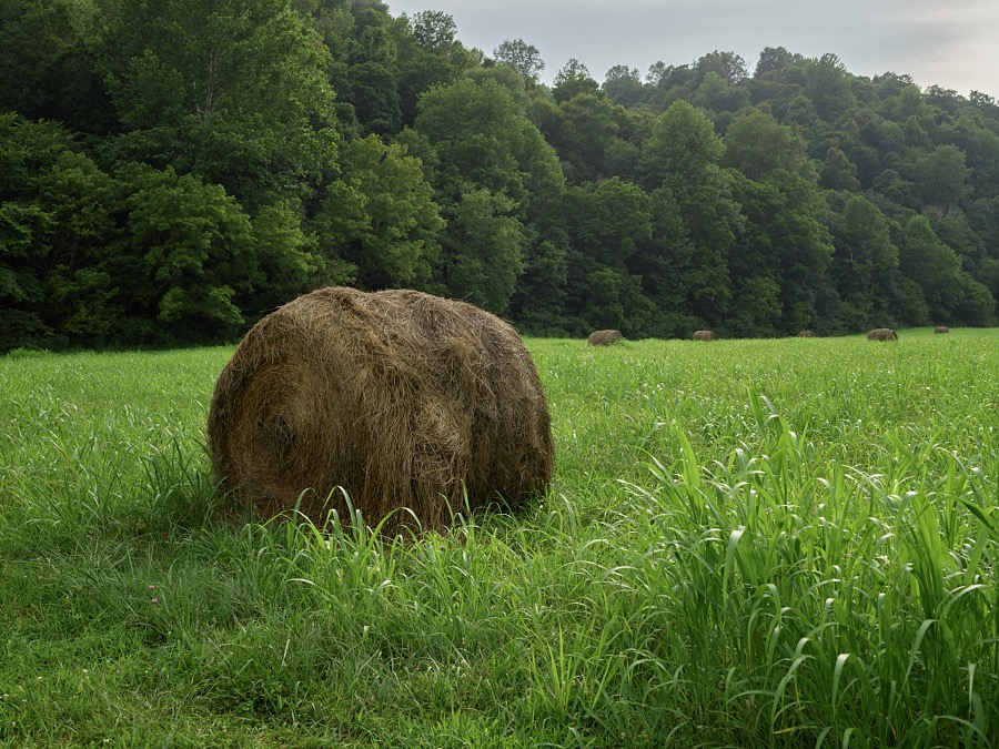 Hay rolls in a field behind a replica of the small cabin where Abraham Lincoln, as a child, and his family lived near Knob's Creek, outside the town of Hodgenville, Kentucky