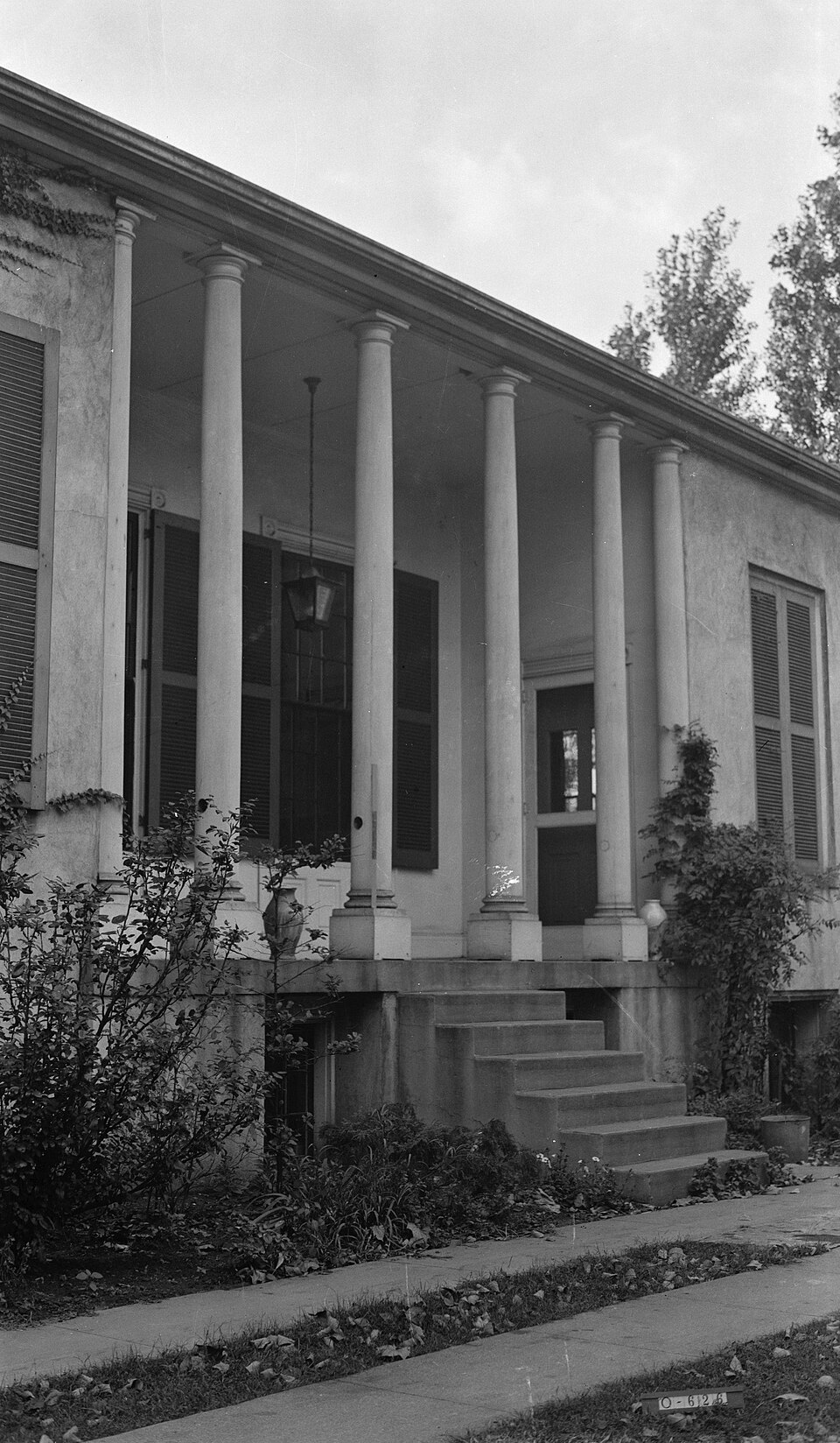 Photograph of Elmwood Hall