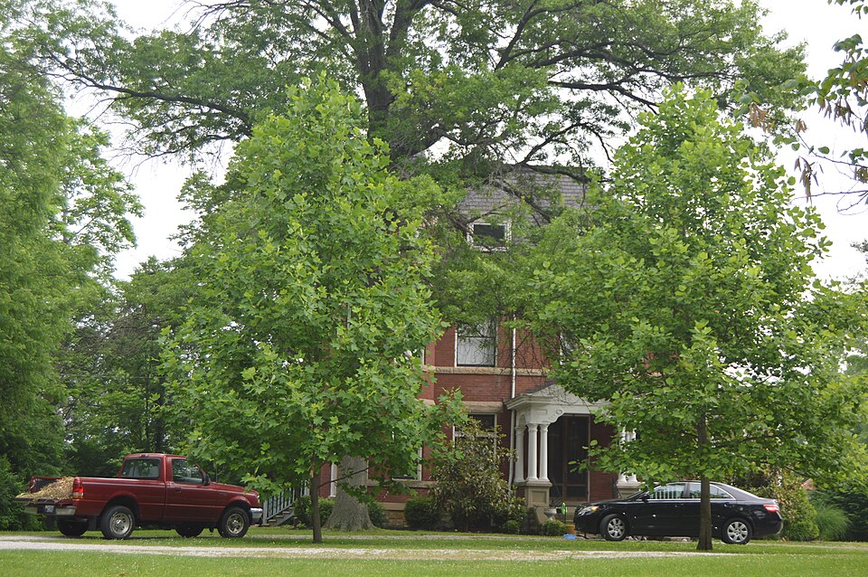 Photograph of William T. Lafferty House