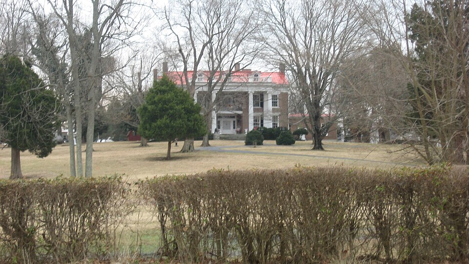 Photograph of McCutchen Meadows