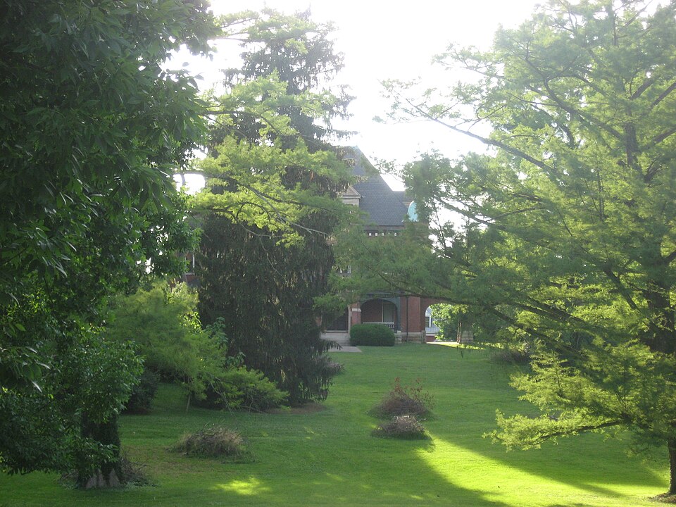 Photograph of Elmwood