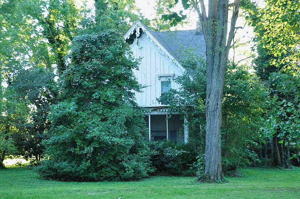 Photograph of White House