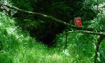 Photograph of Colossal Cavern Entrance