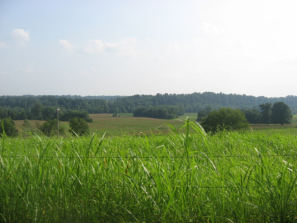 Photograph of Tebbs Bend battlefield