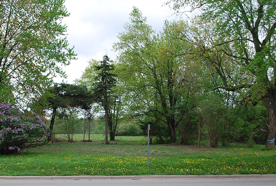 Photograph of David and Elizabeth Bell Boldman House