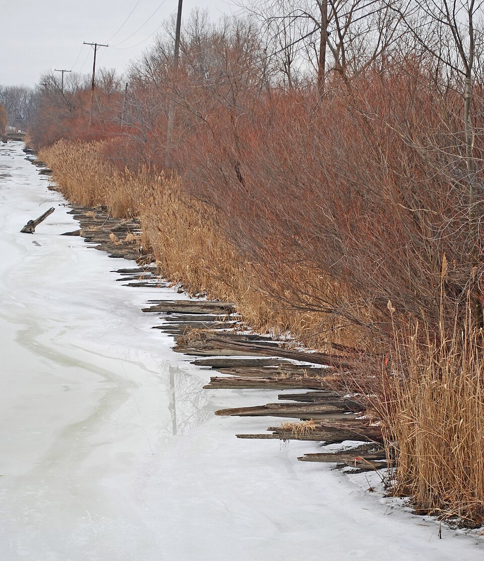 Photograph of Hull's Trace North Huron River Corduroy Segment