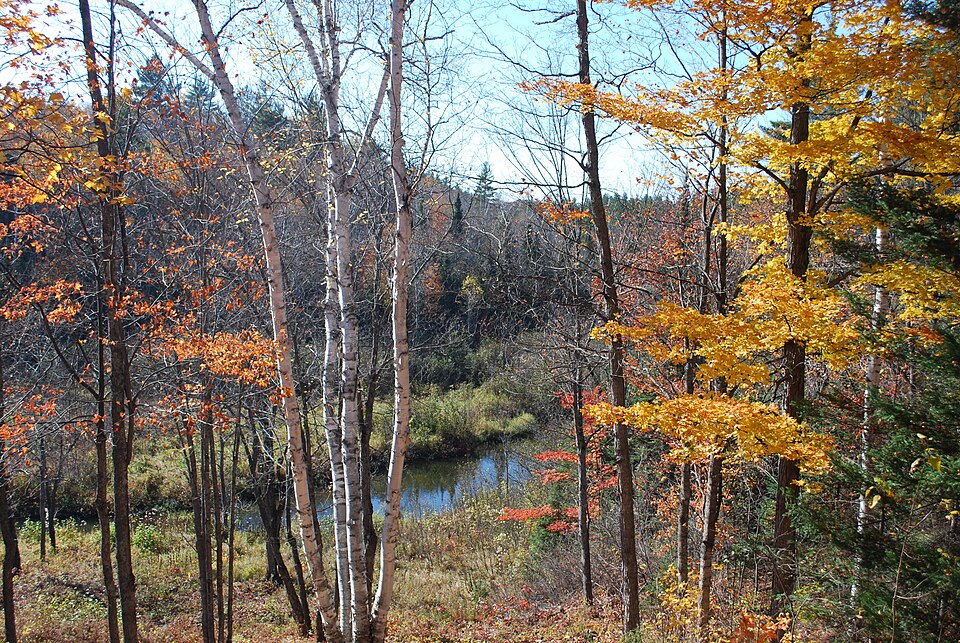 Photograph of Carp River Forge