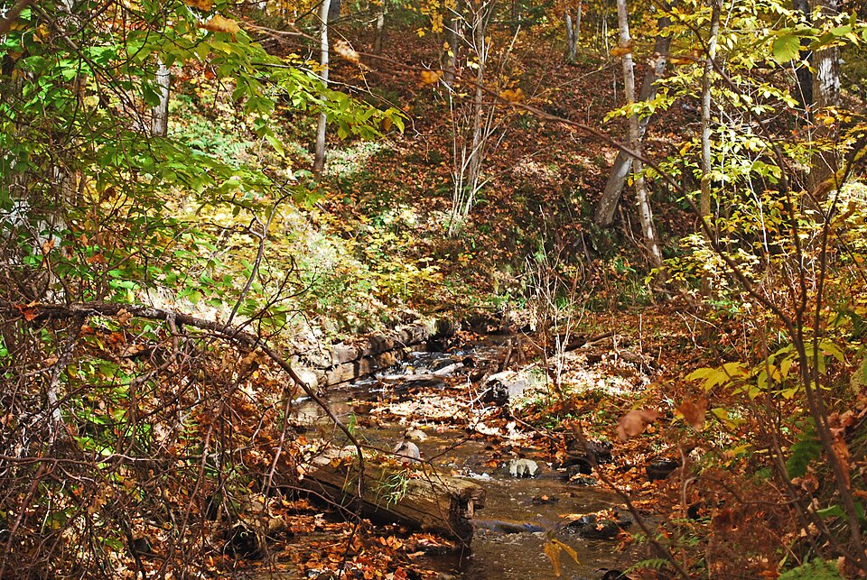 Photograph of Schoolcraft Furnace Site