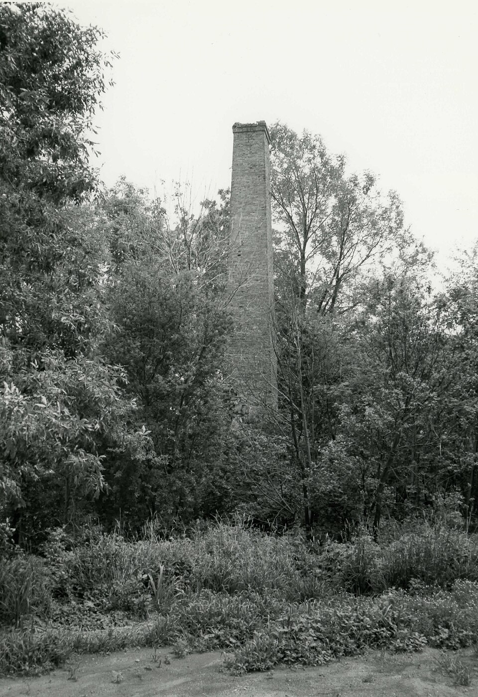 Photograph of W. R. Stafford Planing Mill Site